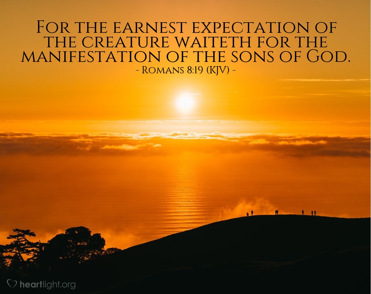 creation is waiting for the manifestation of the sons of God while we