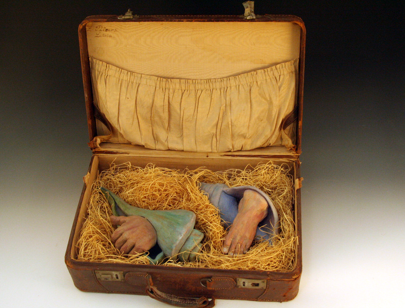 specimens joan schwartz