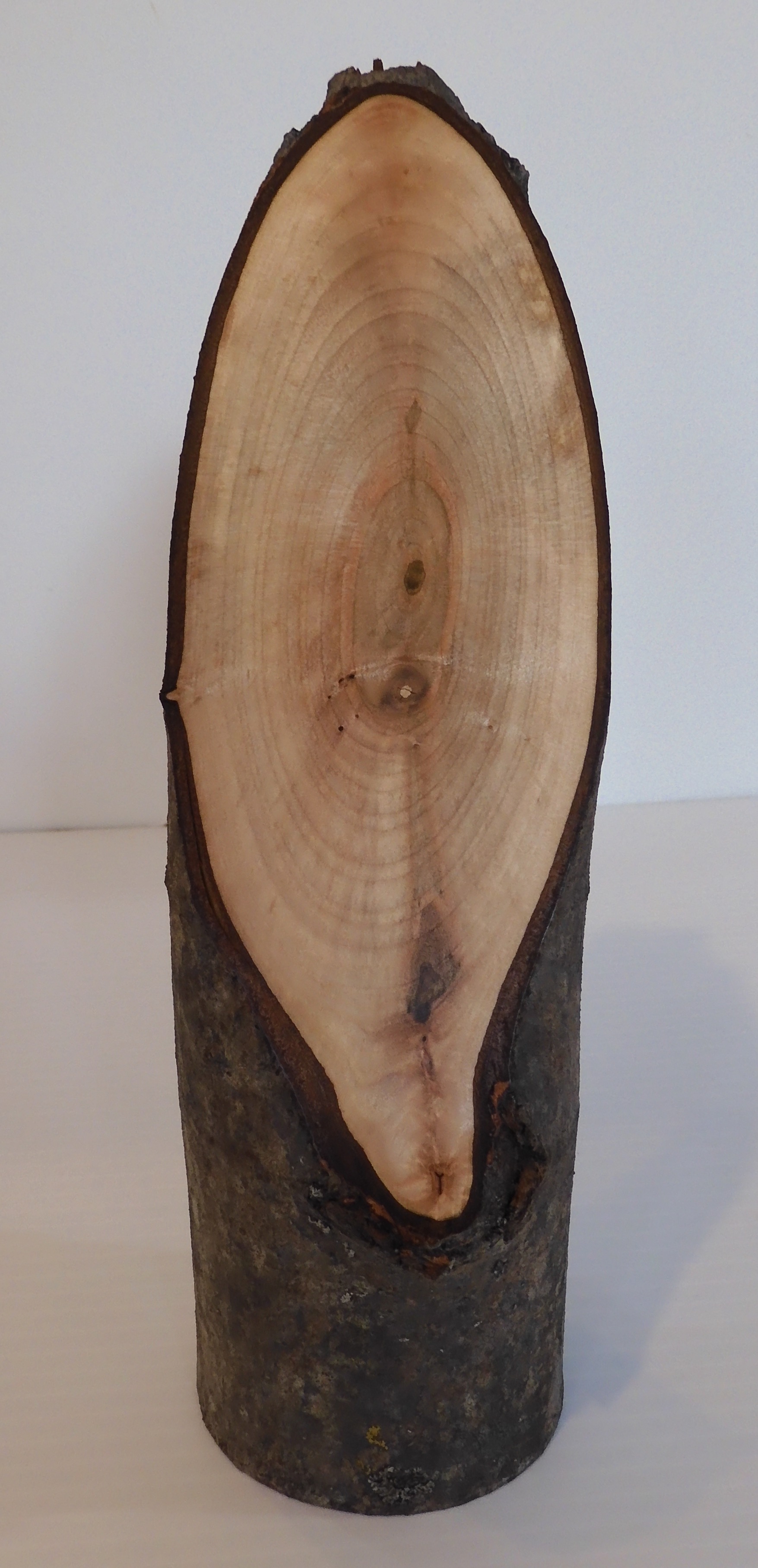 Joan White Nicolet Studio Lakewood, WI Pictures in Wood