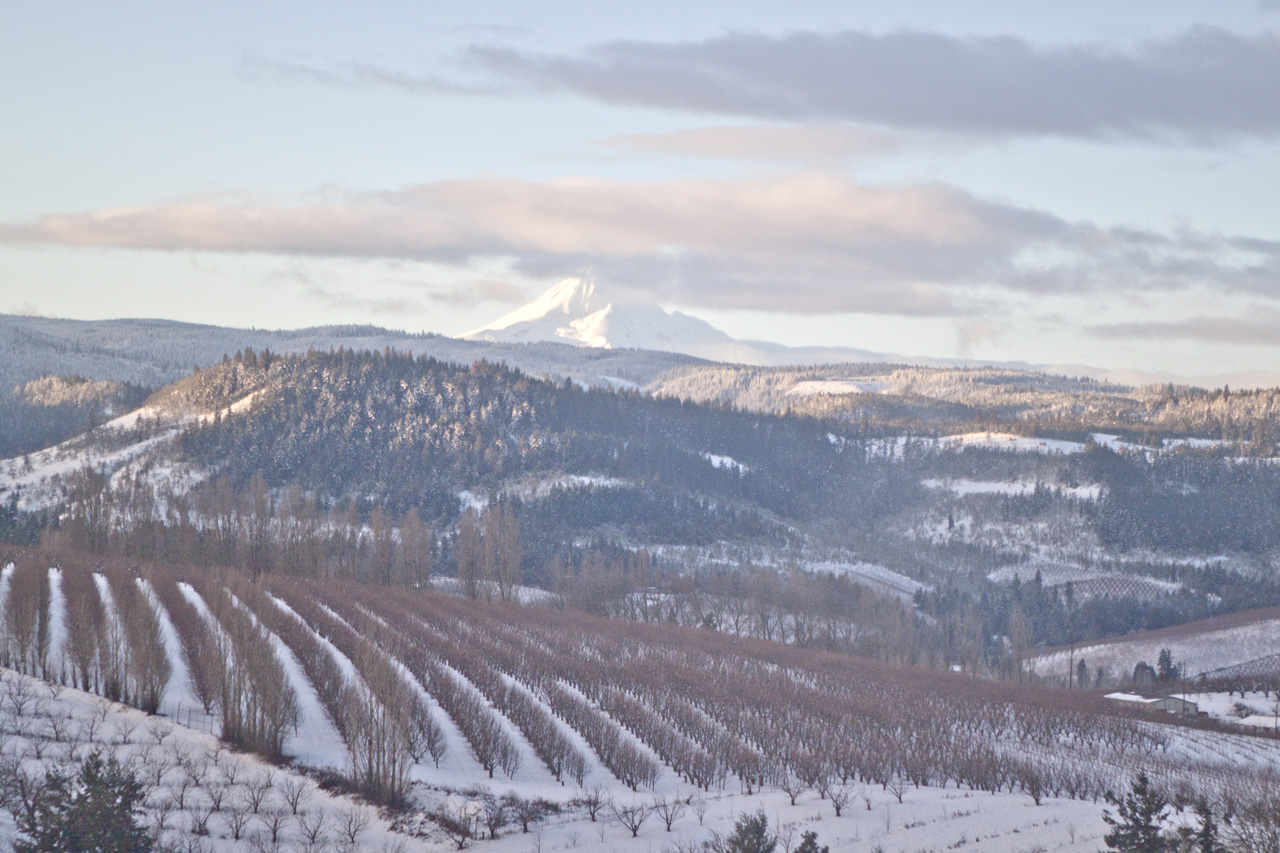 Mosier, Oregon in Winter of 2012 Blog