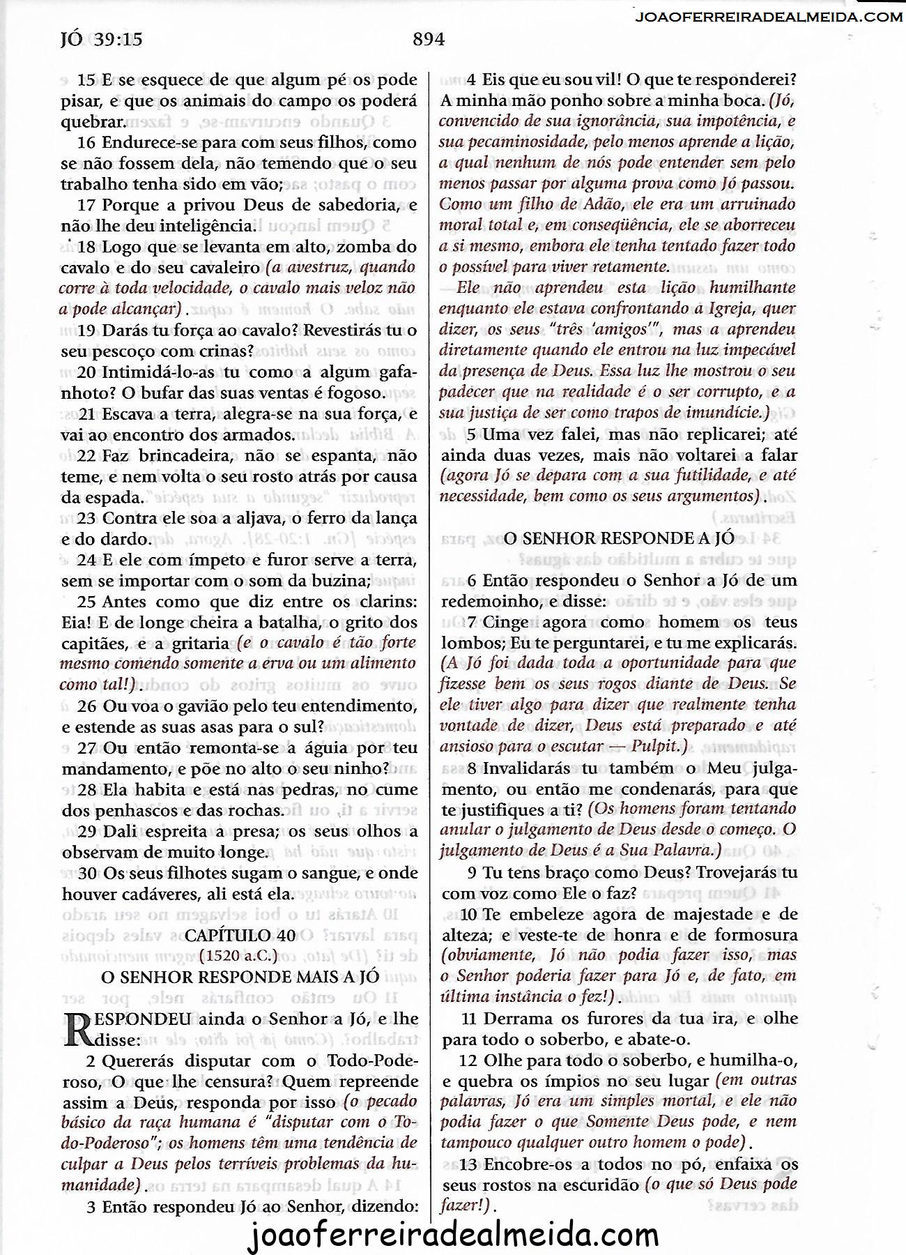 Jó 40 Estudo Biblia João Ferreira de Almeida