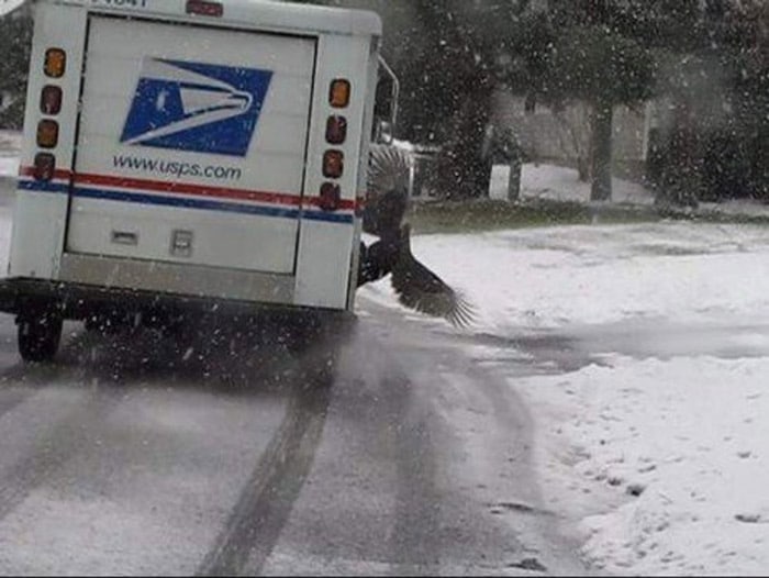 USPS Rural Carrier Associate Job Description, Key Duties and