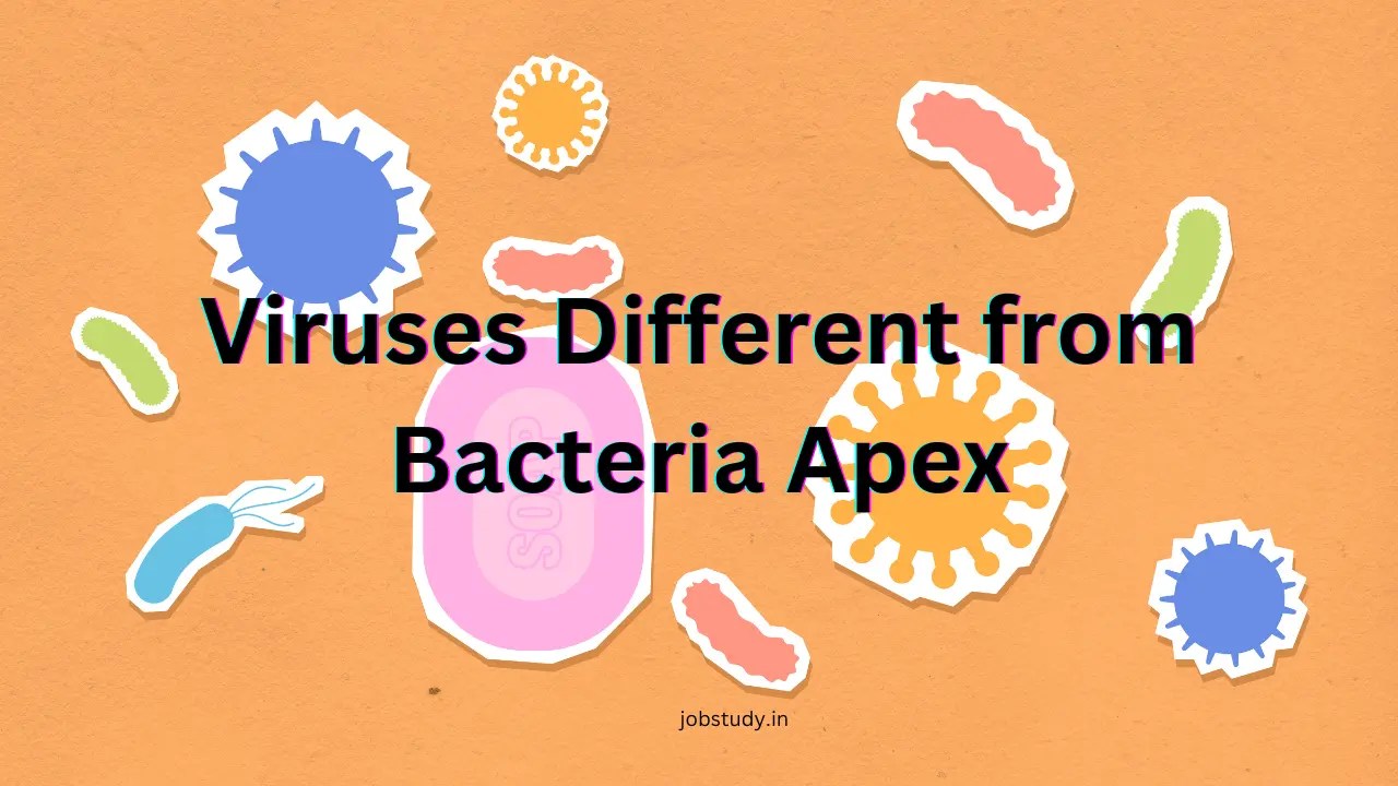 How Are Viruses Different from Bacteria Apex Unveiling the Distinctive