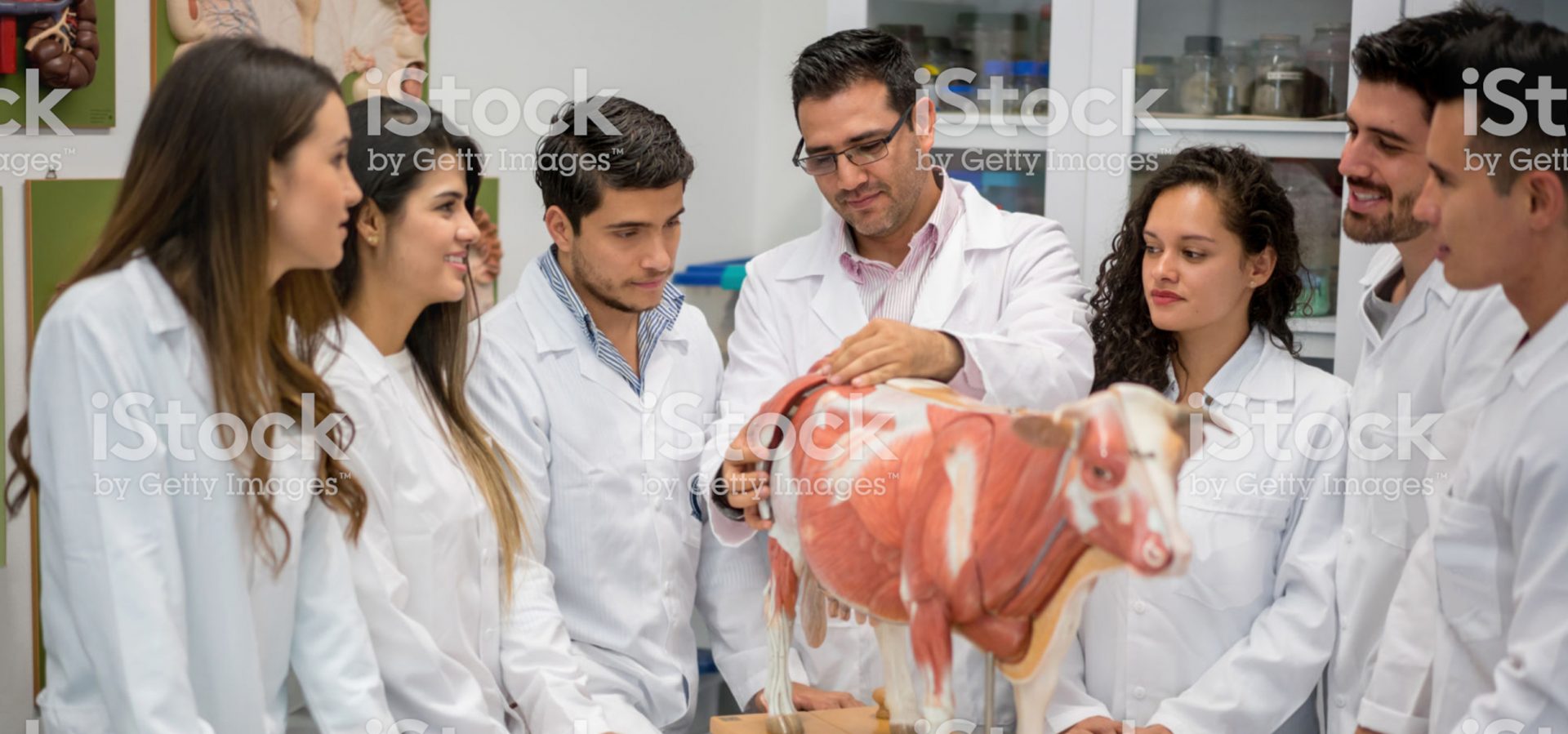 Jobs With Animals We Offer the Best Satisfaction