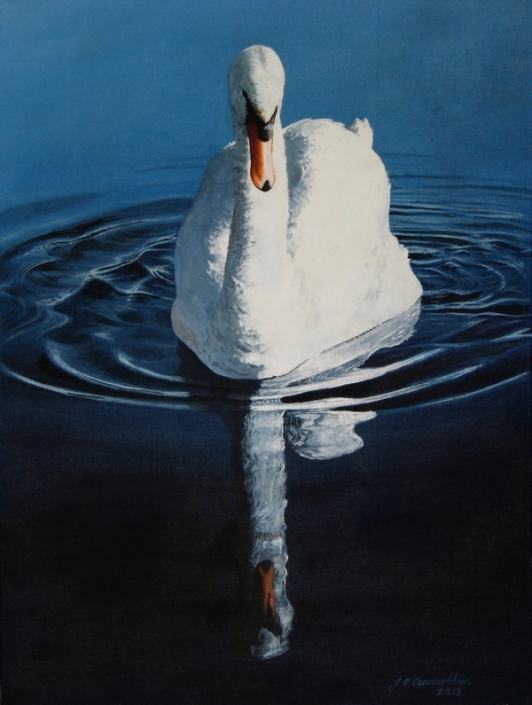 Irish Wildlife Jason O'Ceannobhain Art