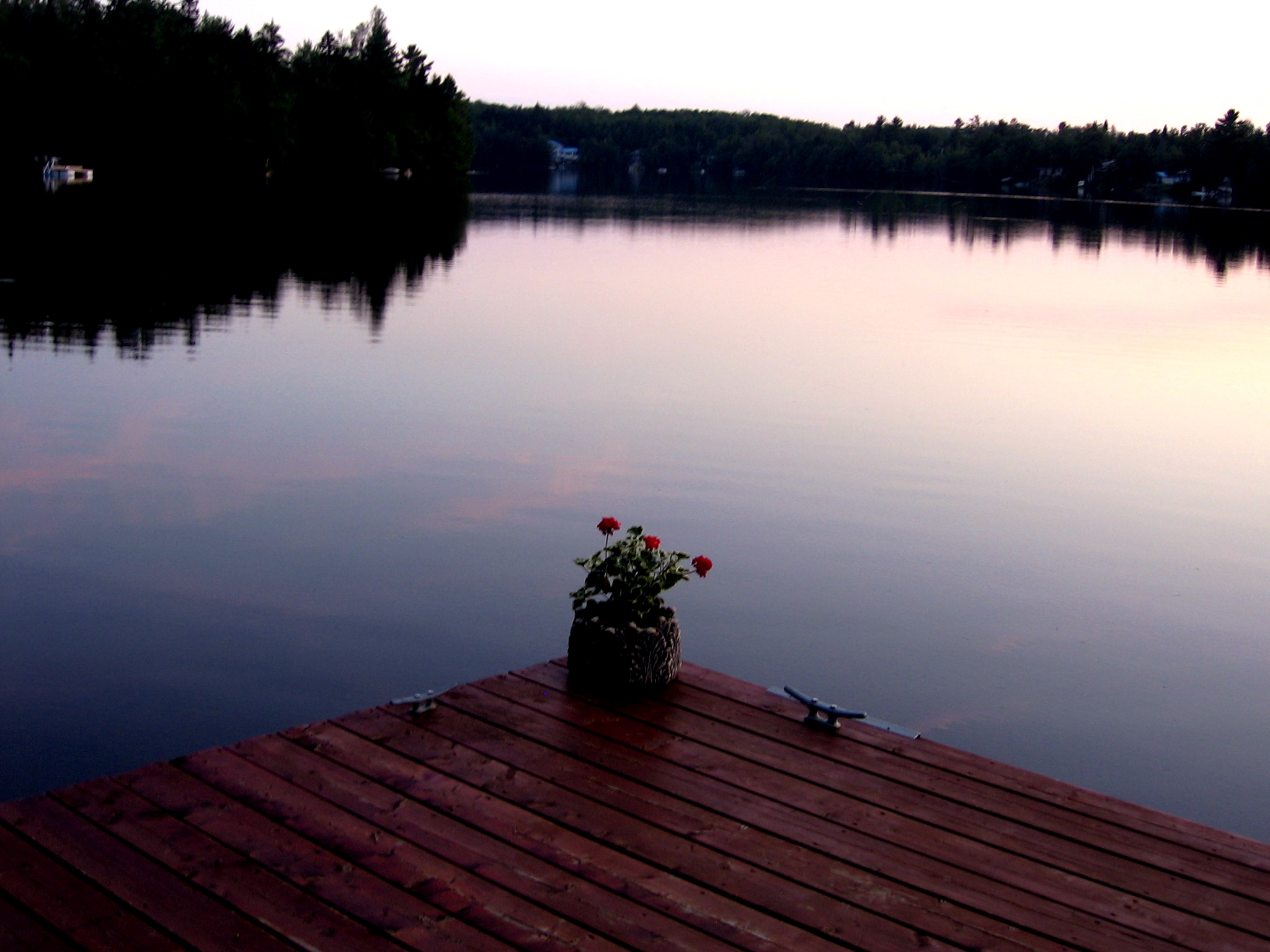 Ô ma divine Ubaldine! Jocelyne Robert