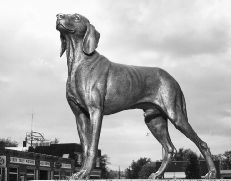 Old Drum The Missouri State Historical Dog Johnson County (MO