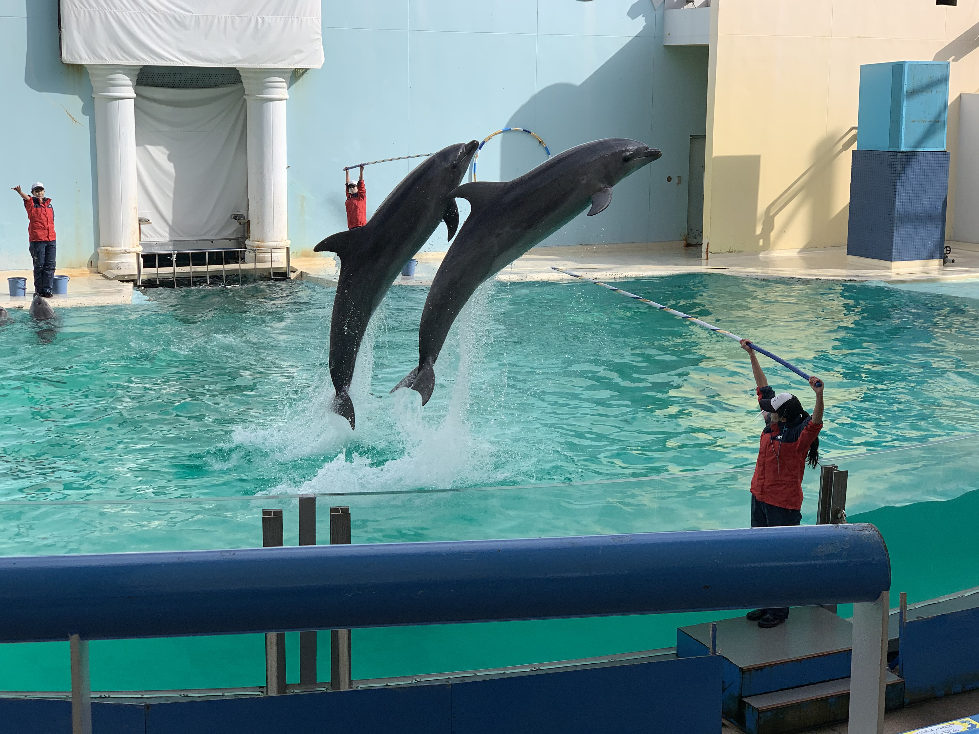 32年間の感謝を込めて！イルカライブ「THE FINAL」 サンデー神戸