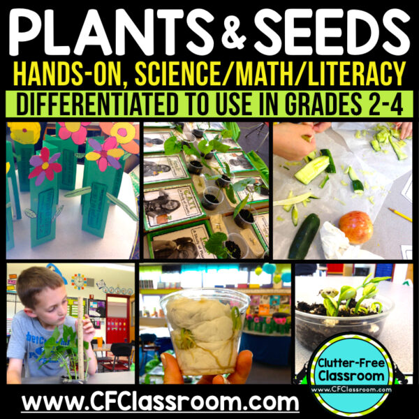 Plant Activities for Kids at the Elementary Level in 2025 - Teaching