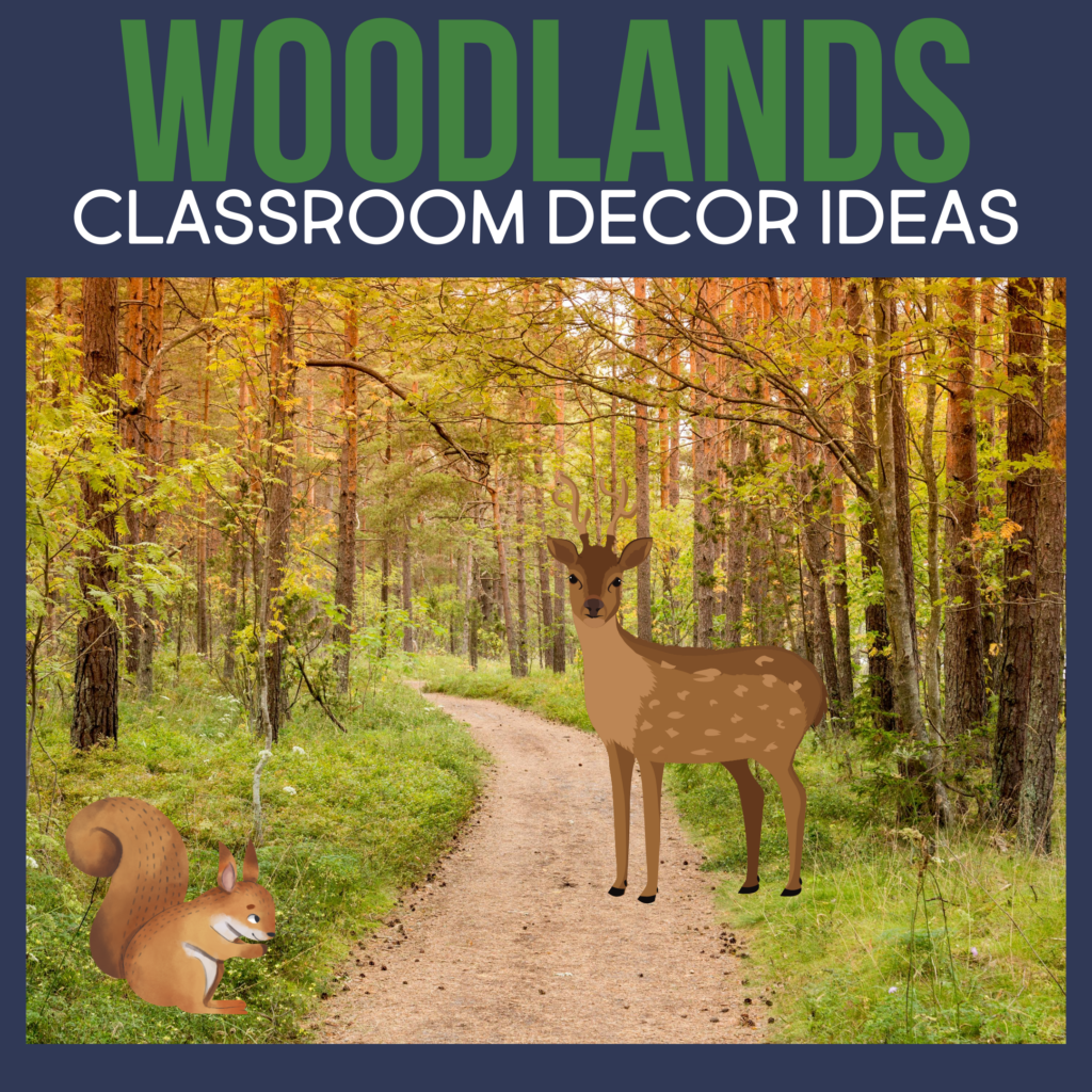 Woodland Classroom Theme Ideas for Elementary Teachers in 2024