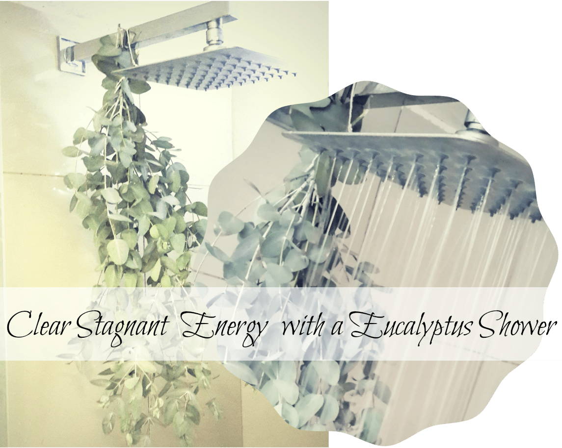 eucalyptus smudge Jodi Sky Rogers