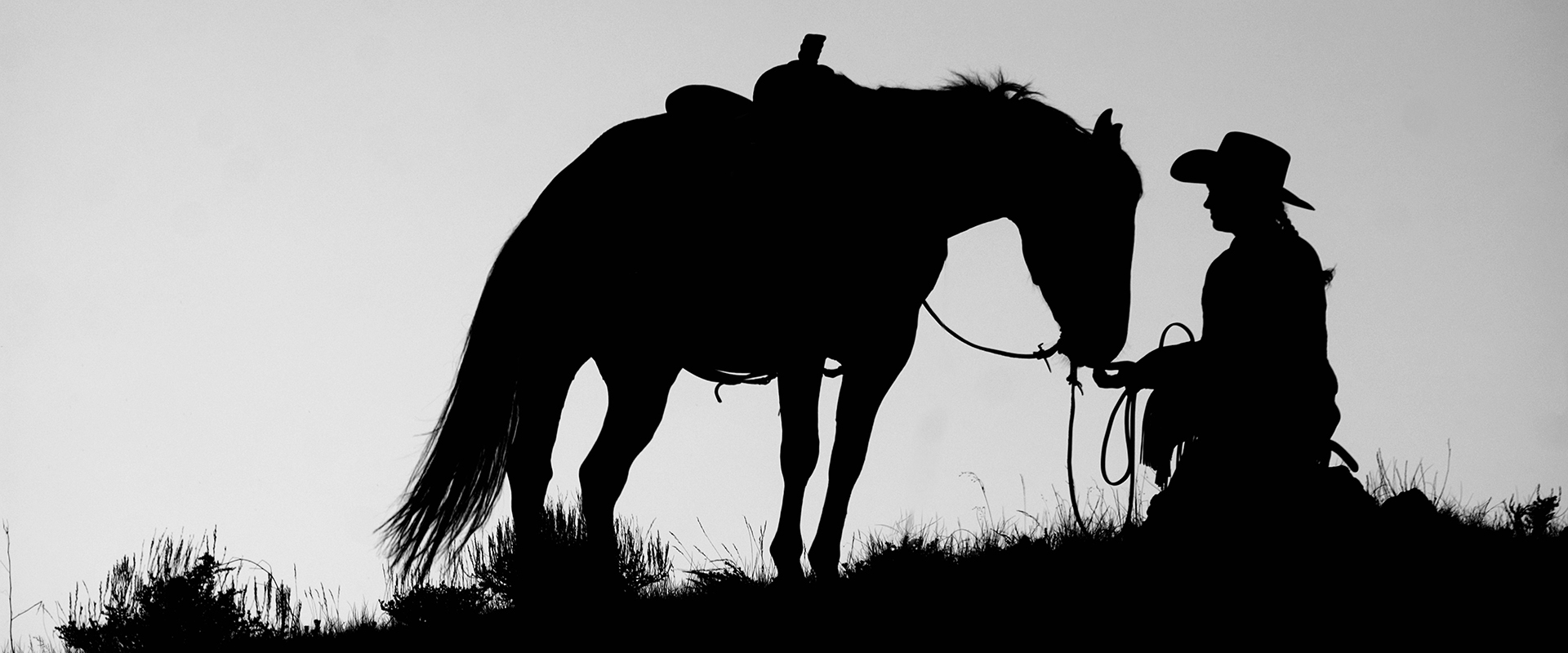 Fine Art Horse Photography Jody L Miller Horse Photography