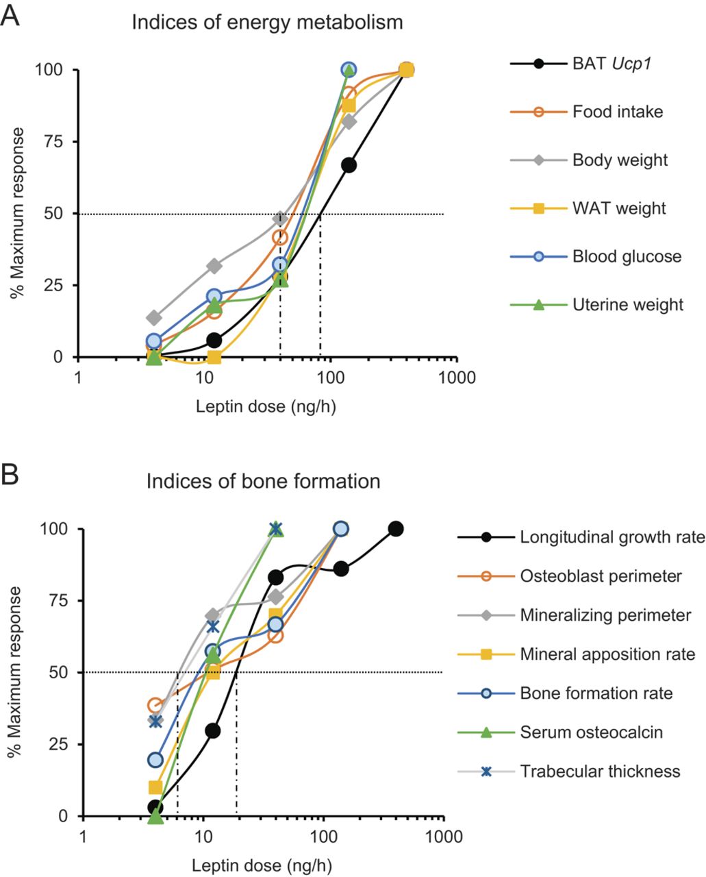 Leptin stimulates bone formation in ob/ob mice at doses having minimal
