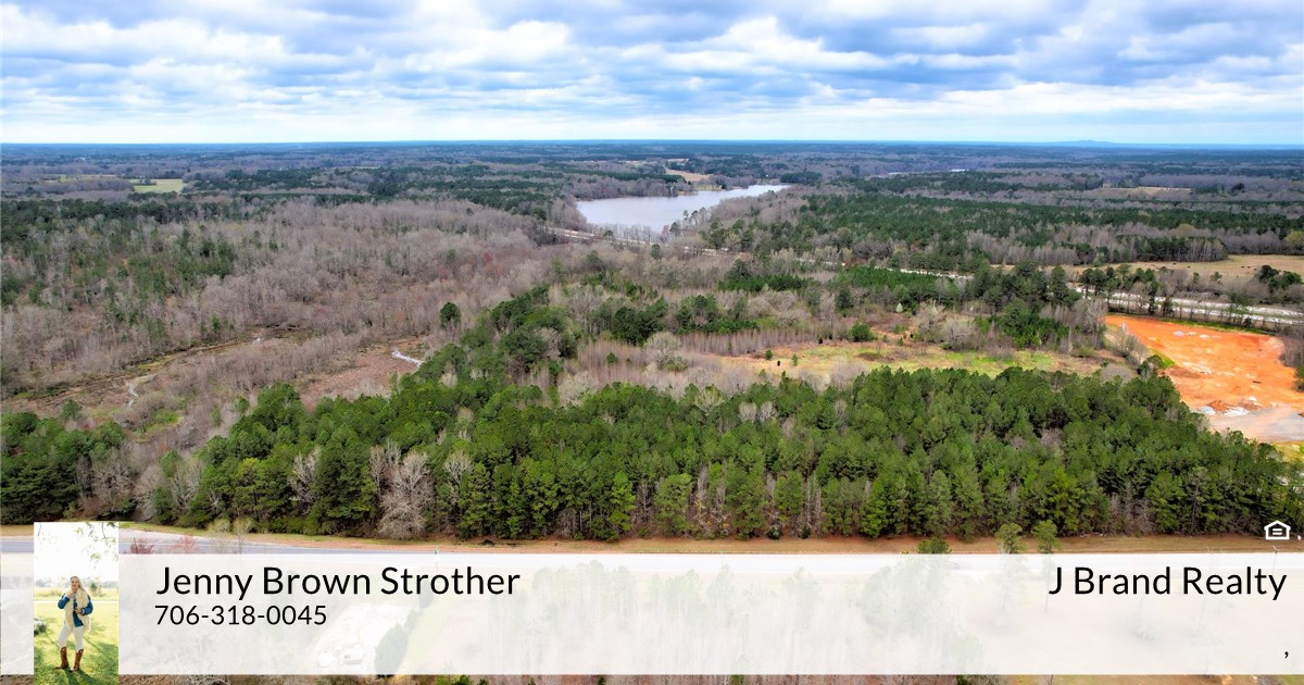 1985 Cobbham Rd, Thomson, GA 30824