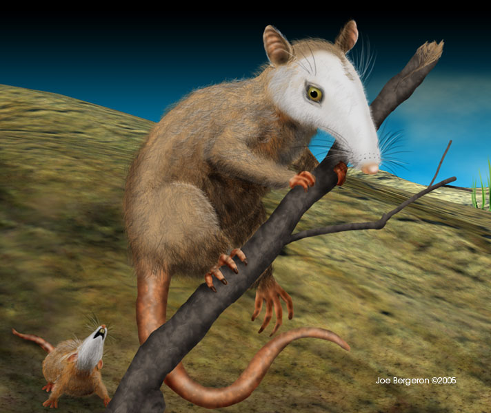 Tertiary Rodents Panorama