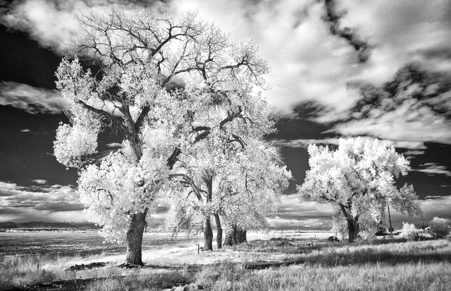 Get Started with Infrared Photography
