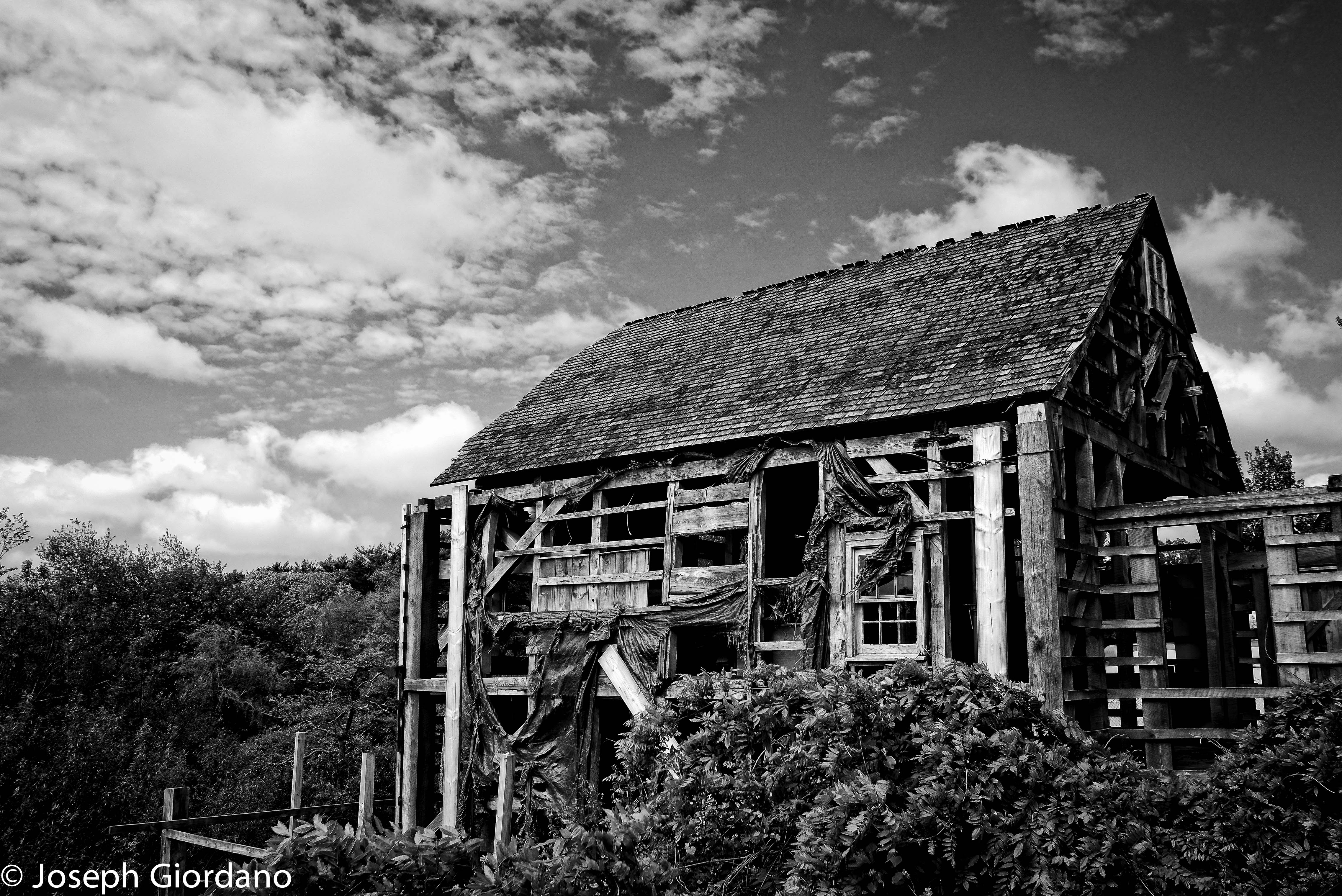 Old Mill The Visual Chronicle