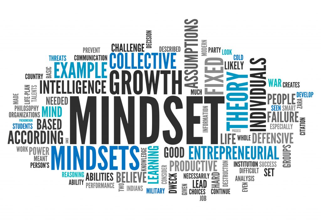 Mindsets Traits in Successful Consulting Leaders