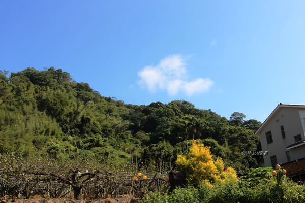 台中東勢，軟埤坑半日遊