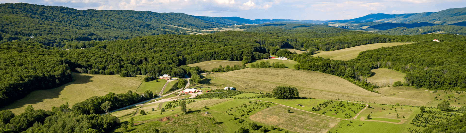 Joe's Trees Newport, VA Choose n Cut