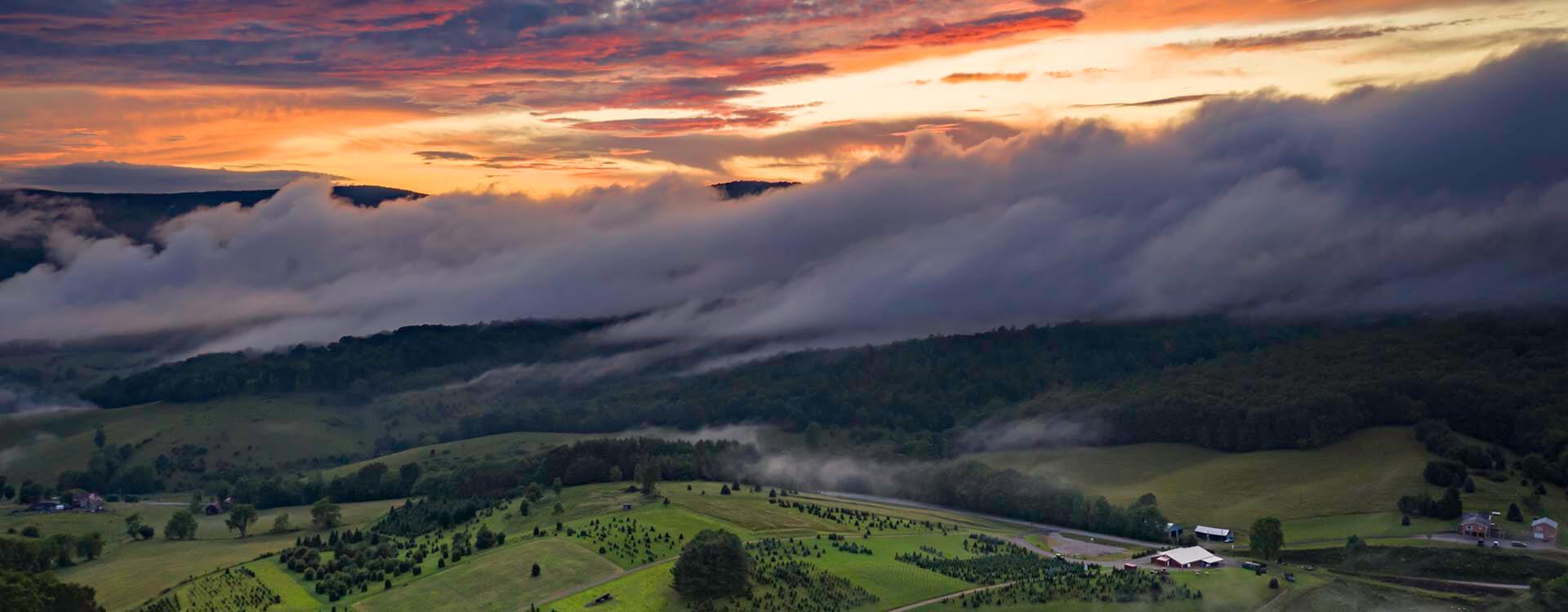 Joe's Trees Newport, VA Choose n Cut