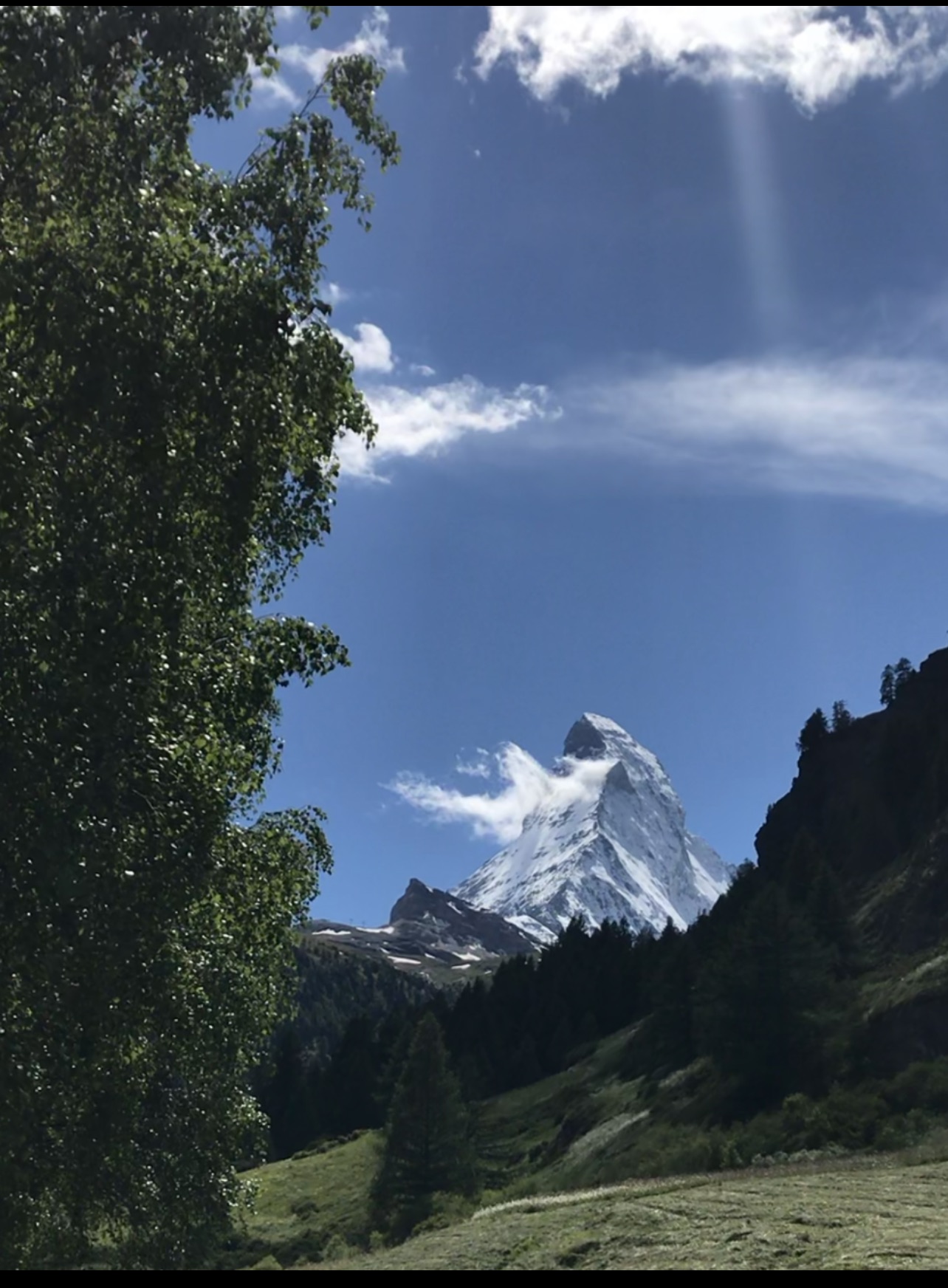 Johappens Come See What The Lord Has Done