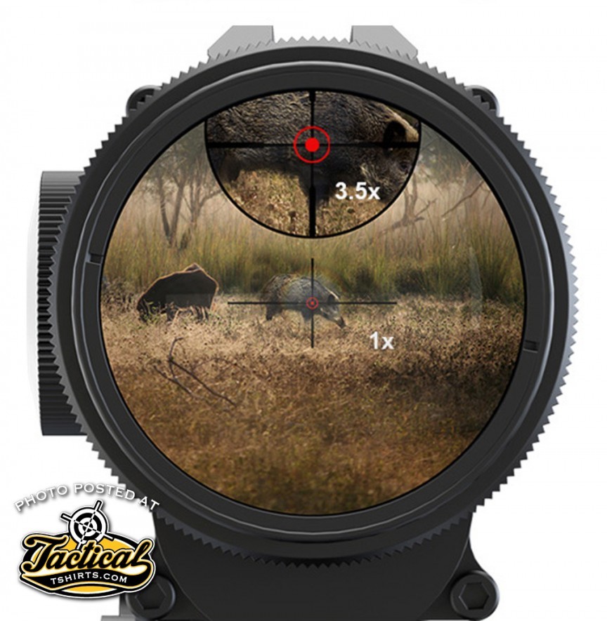 A “Bifocal” Scope Gun Blog