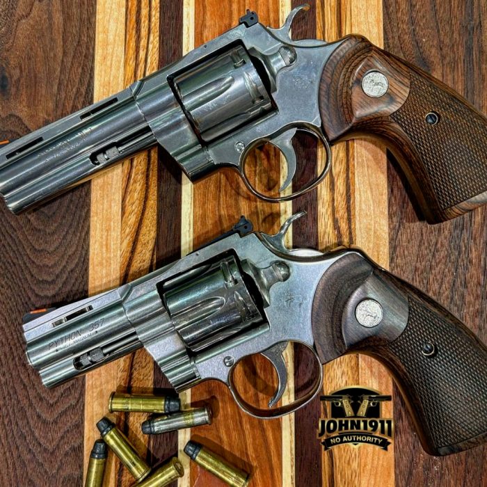 Colt python vs bear