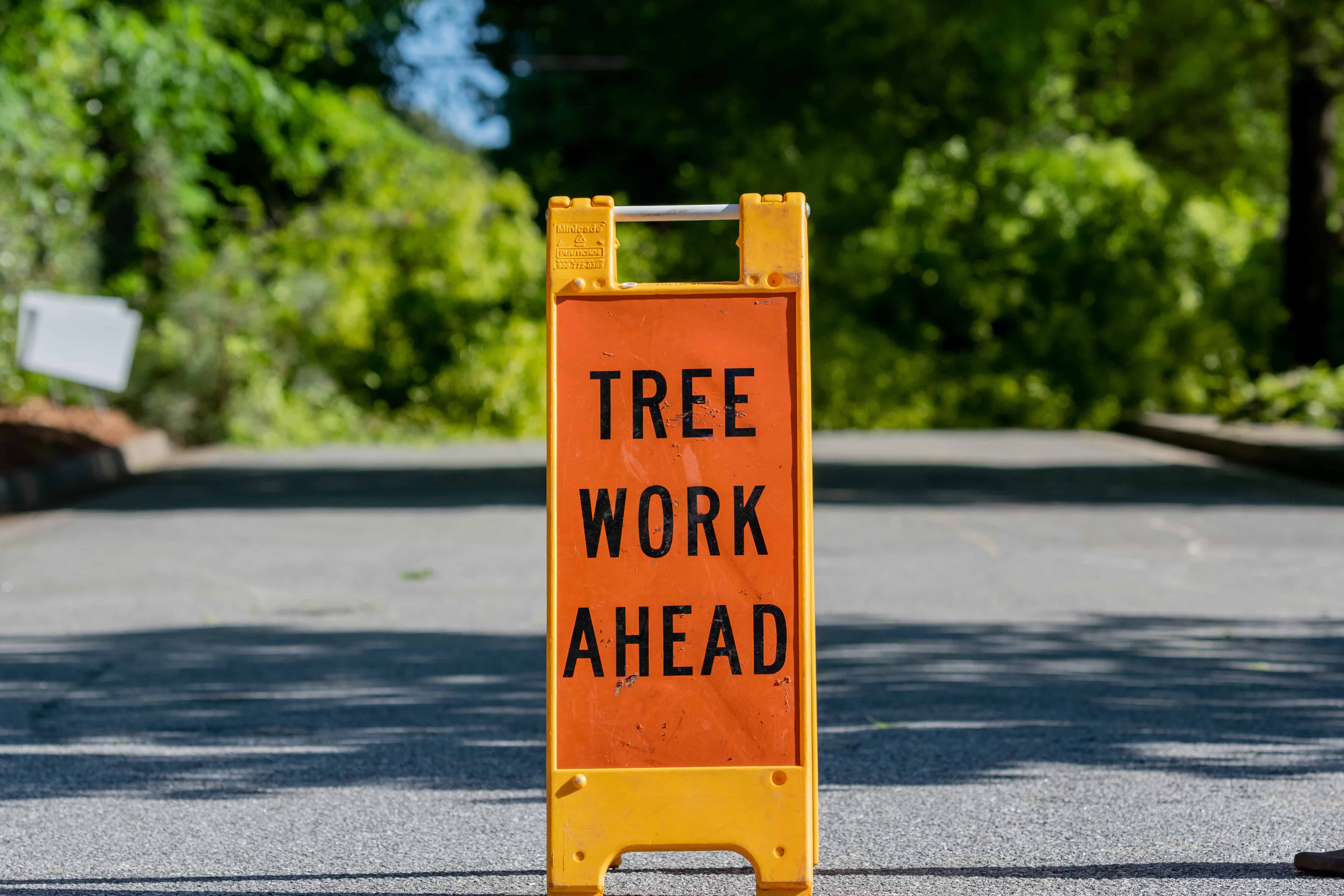 John and Joe's Tree Service Suamico, WI 54313