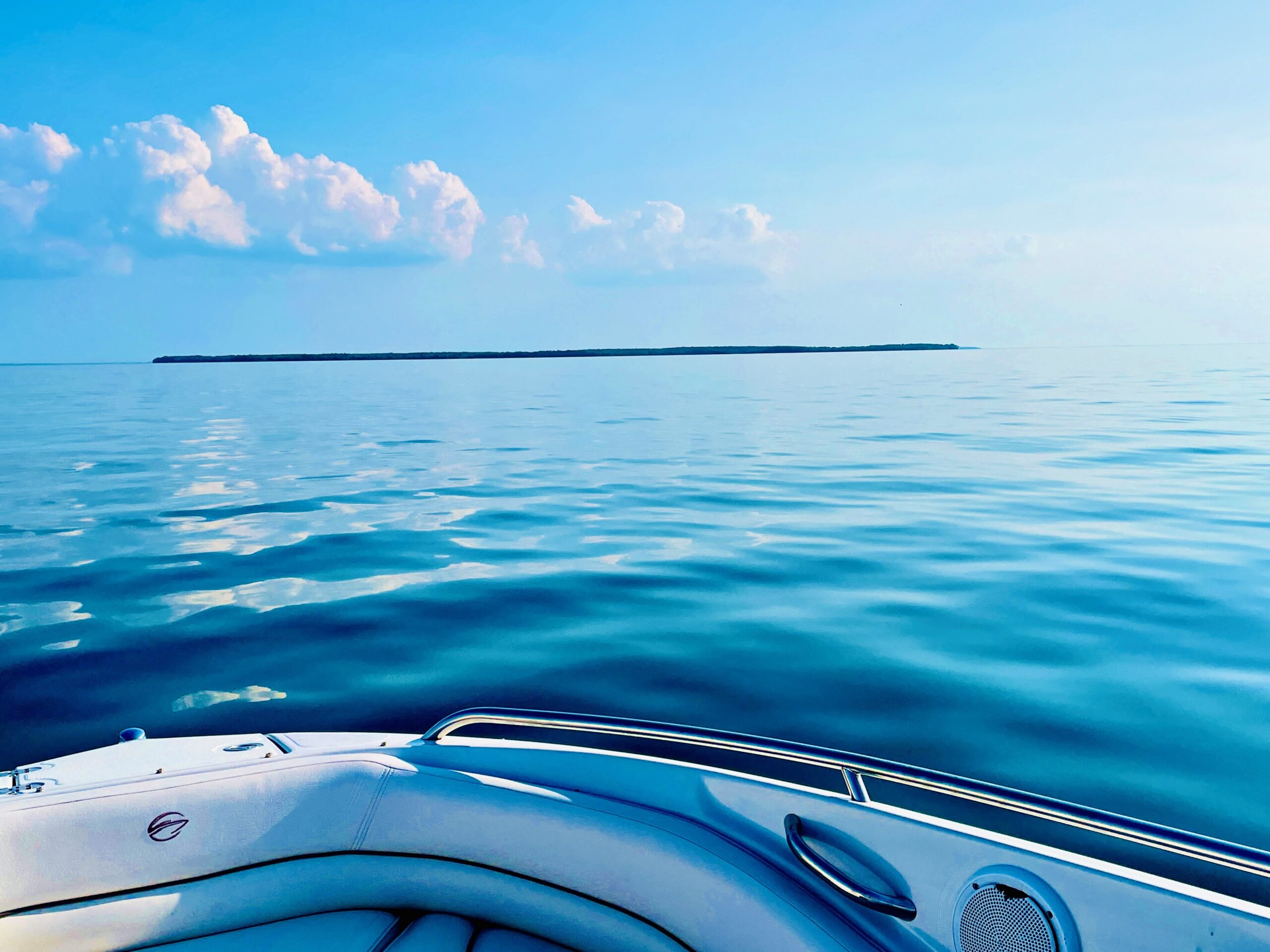 Laura R John Brassard