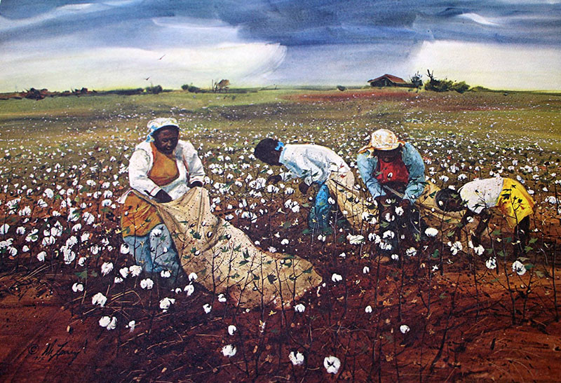 Riverbottom Cotton by Artist Jack C. DeLoney John Brewer's Studio