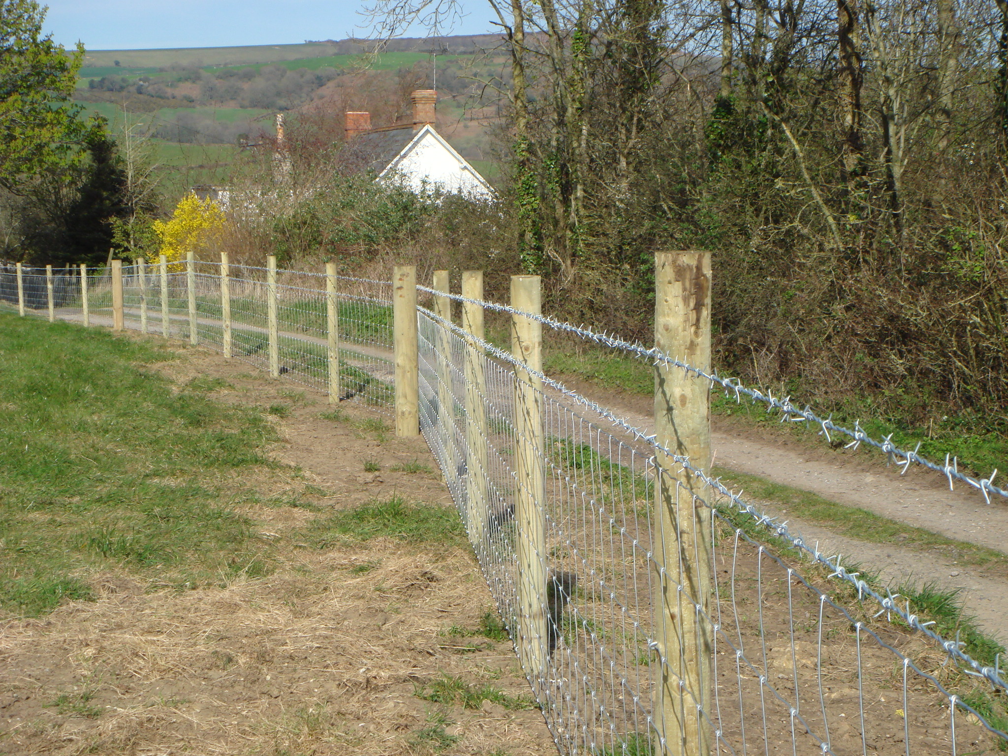 Fencing Dorset Fencing Company John Brights
