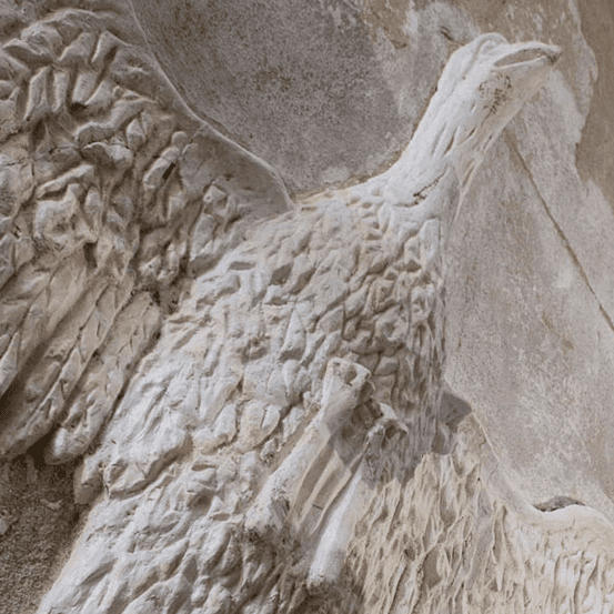 History And Use of Horsehair Plaster to Preserve Walls & Ceilings