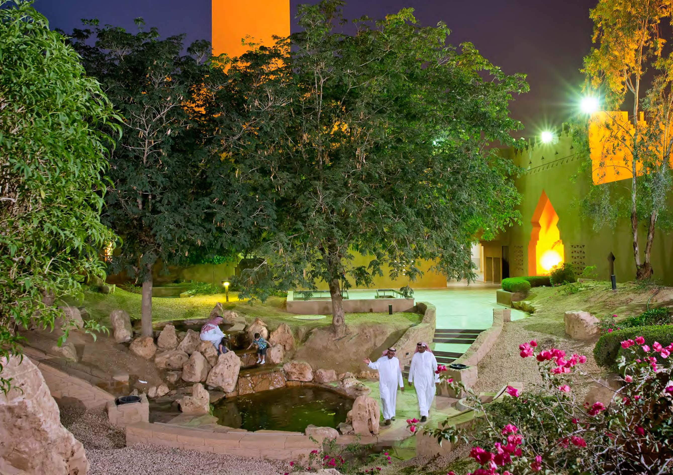 Green Riyadh wadi image John Englander Sea Level Rise Expert