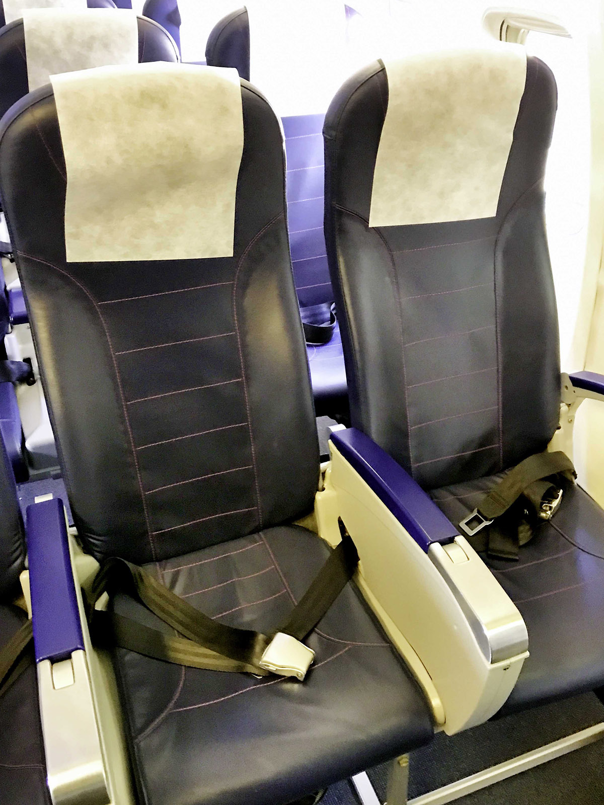 FLYSAFAIR Economy Flight Review John Finch Travel