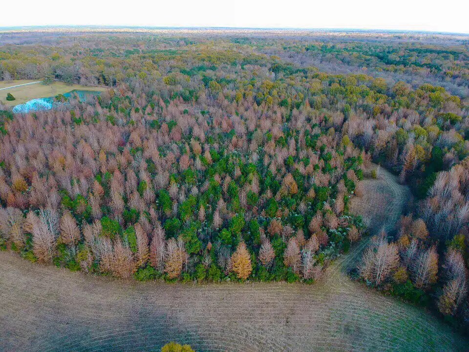 Cecil Property Land for Sale Alabama Land Company