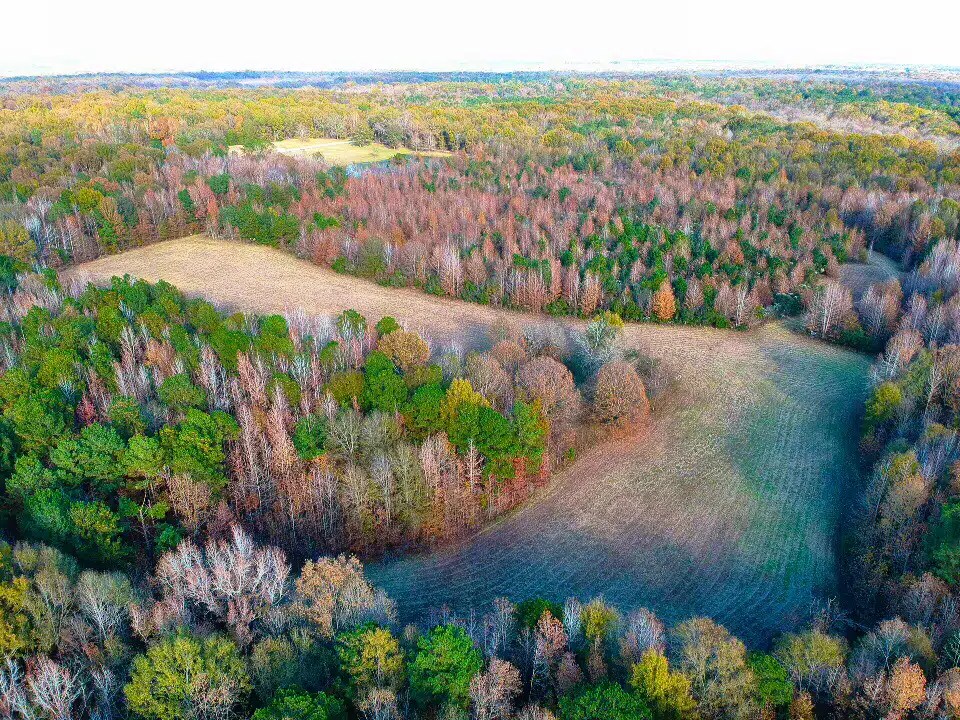 Cecil Property Land for Sale Alabama Land Company