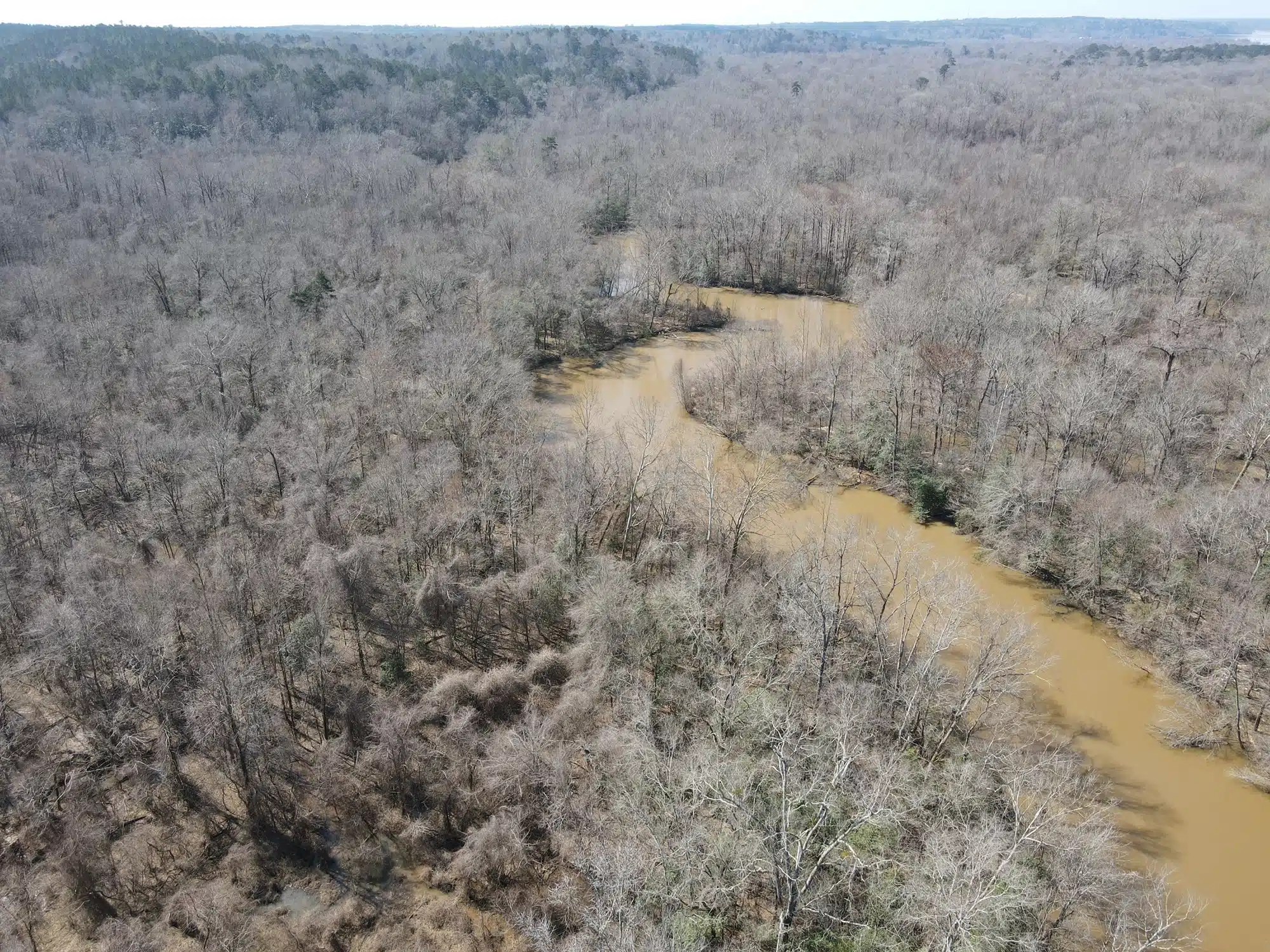 Tomlinson Conecuh River Land for Sale Alabama Land Company