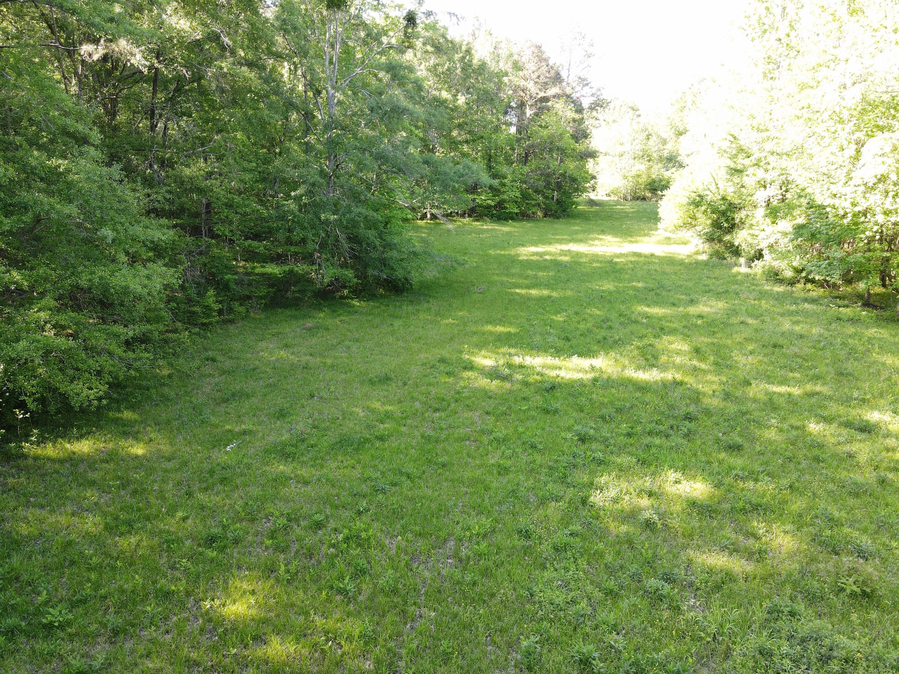 E. Old Hayneville Road Tract Land for Sale Alabama Land Company