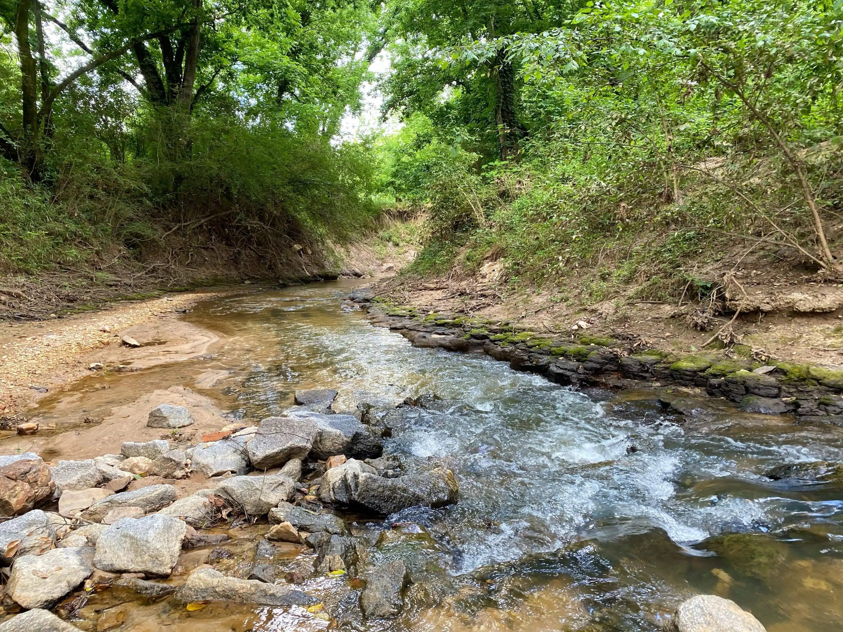 Tallapoosa River Orchard Land for Sale Alabama Land Company