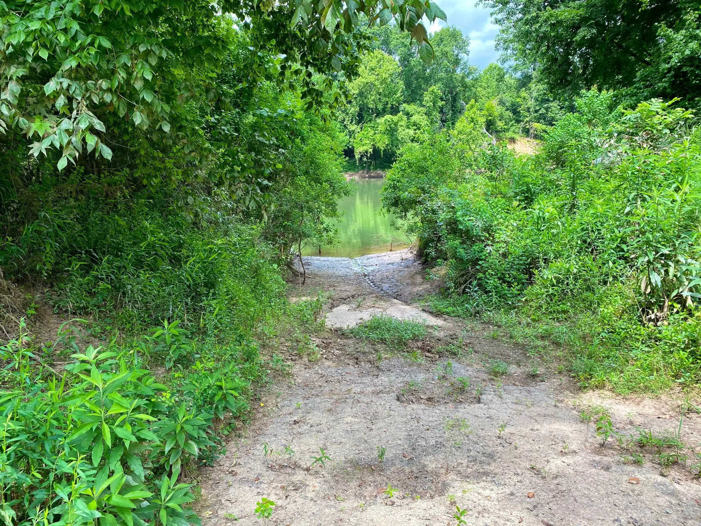 Tallapoosa River Orchard Land for Sale Alabama Land Company