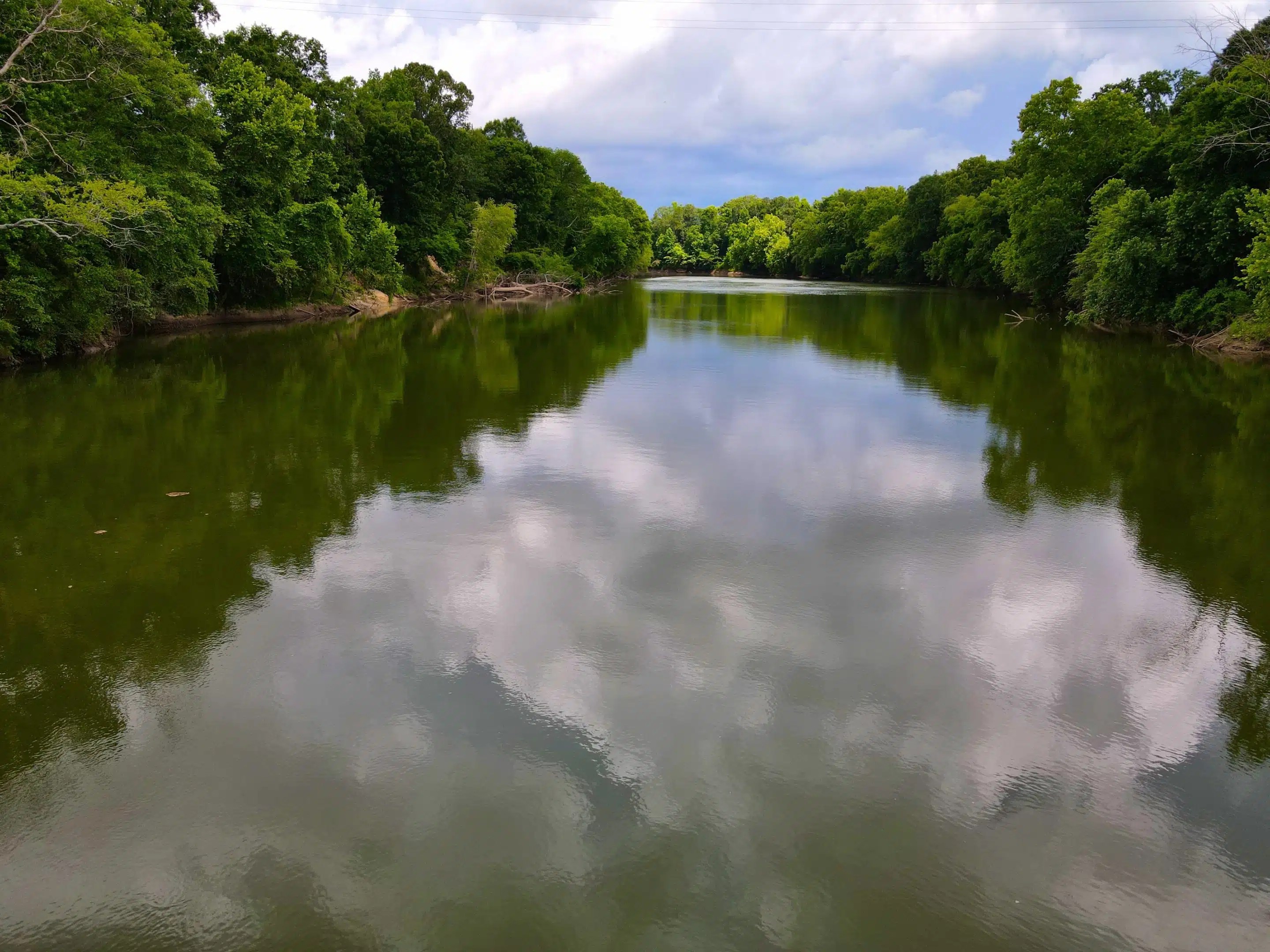 Tallapoosa River Orchard Land for Sale Alabama Land Company