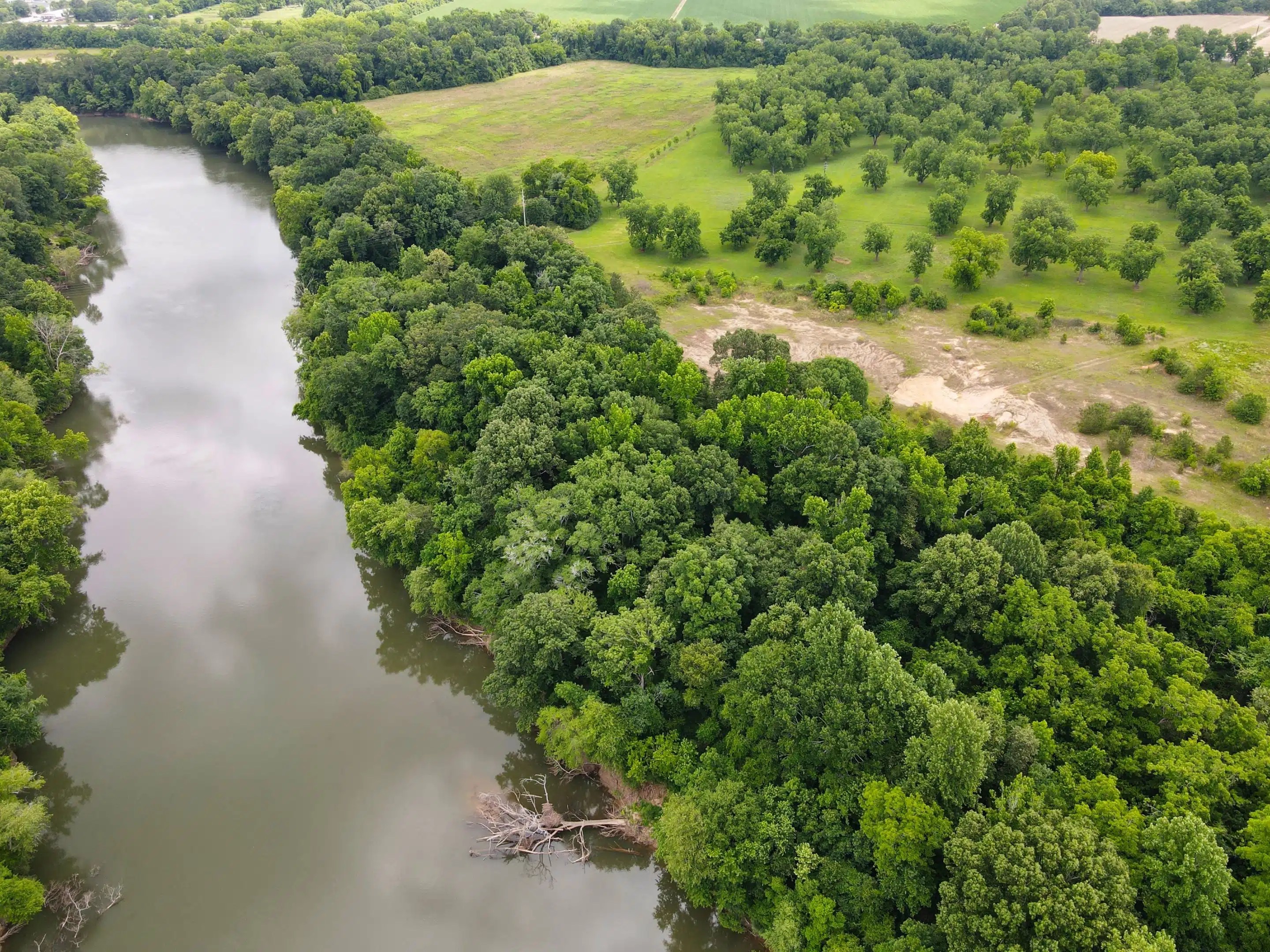 Tallapoosa River Orchard Land for Sale Alabama Land Company