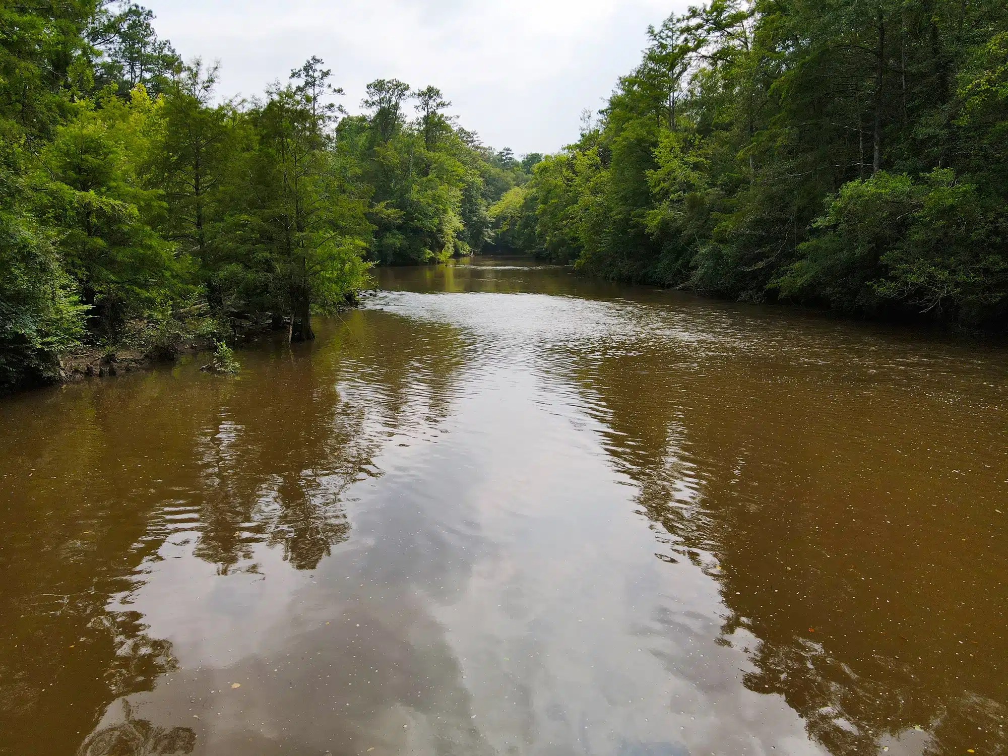 Sepulga River Tract Land for Sale Alabama Land Company