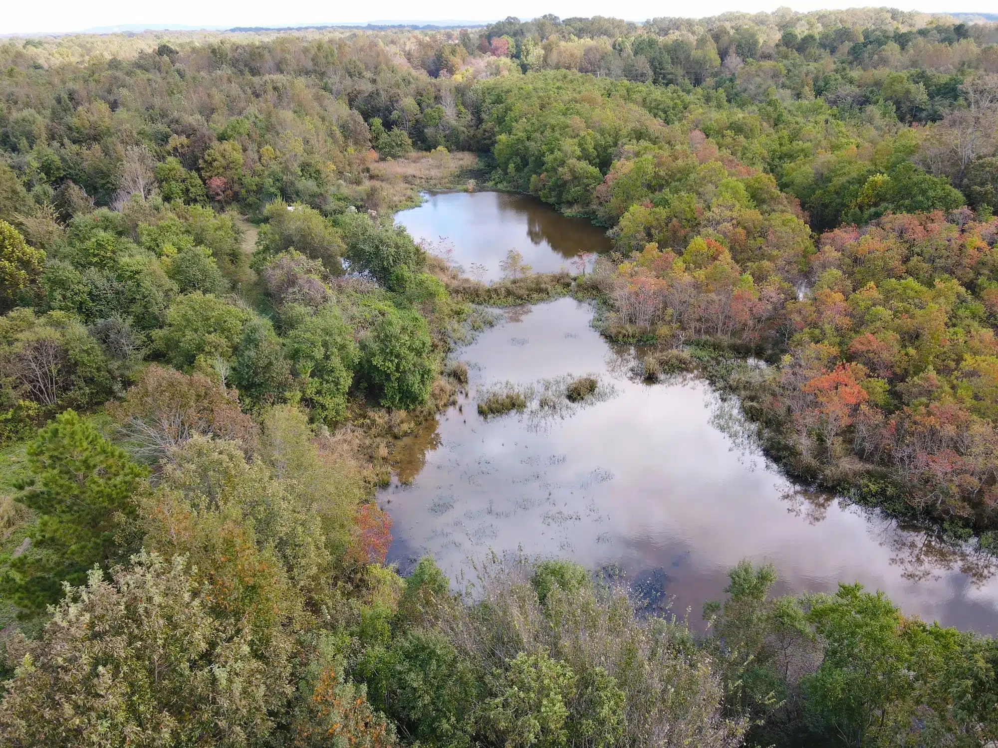 Merging Rivers Farm Land for Sale Alabama Land Company