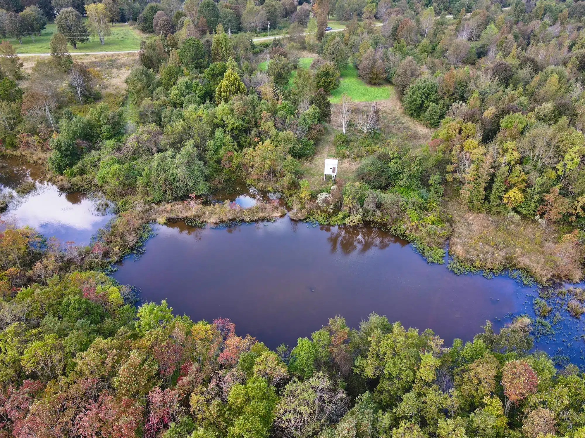 Merging Rivers Farm Land for Sale Alabama Land Company