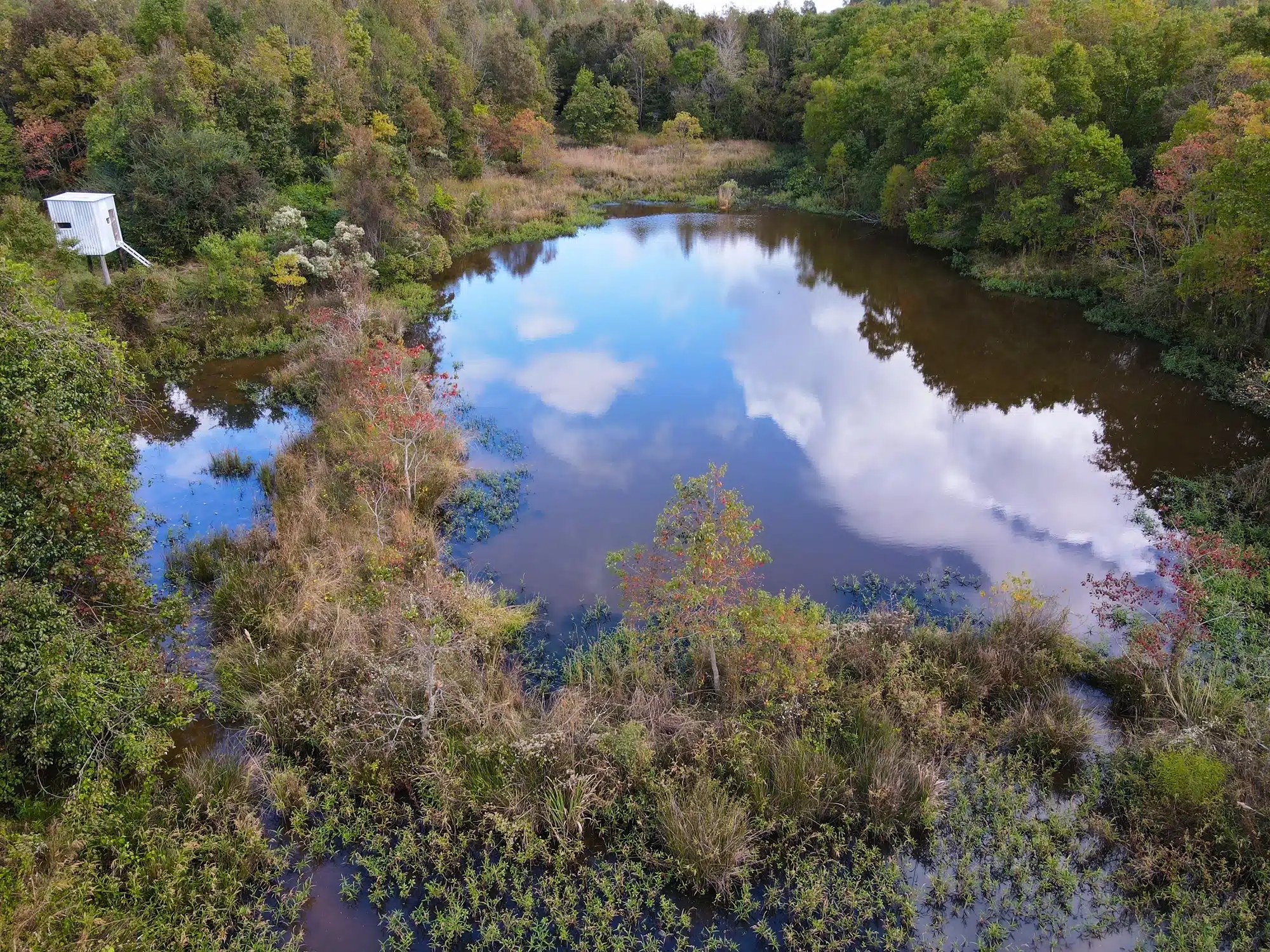 Merging Rivers Farm Land for Sale Alabama Land Company