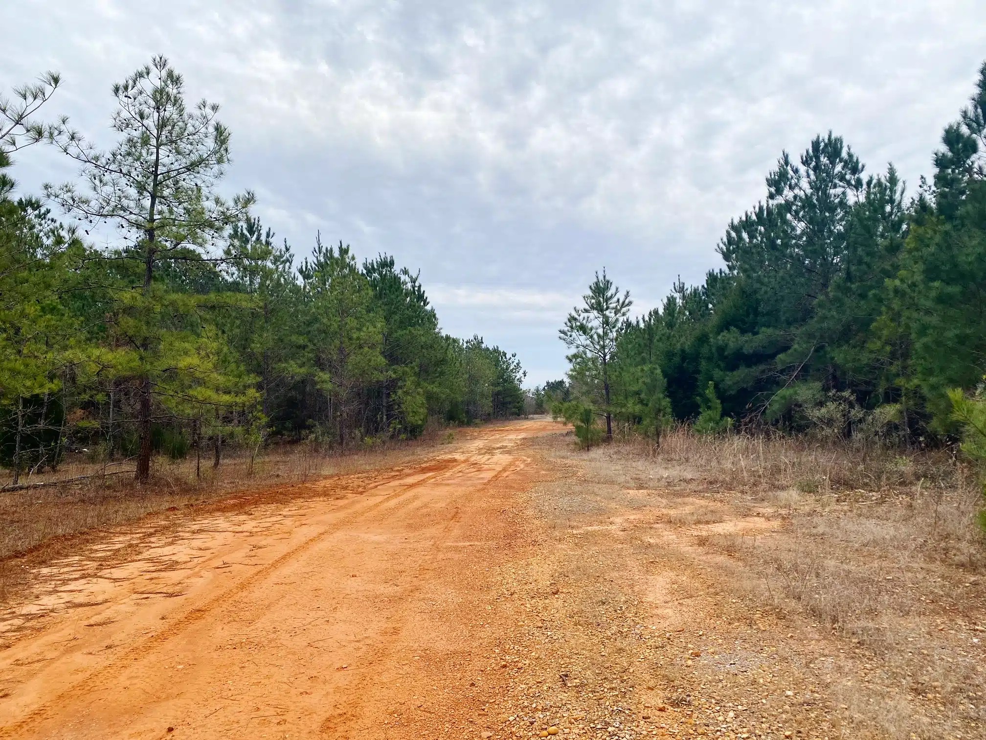 R.R. Lot Land for Sale Alabama Land Company