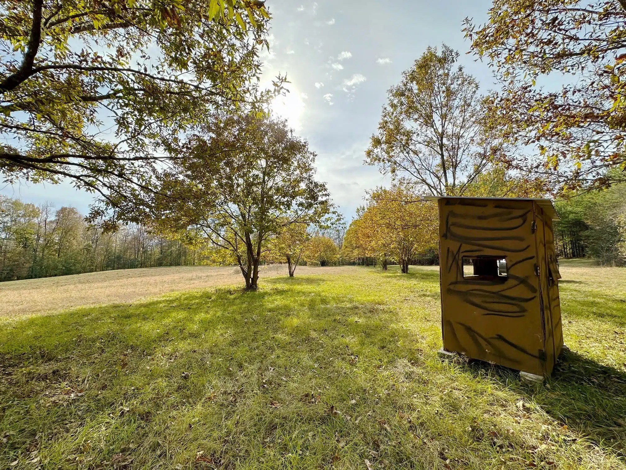 Hatchett Creek Land for Sale Alabama Land Company