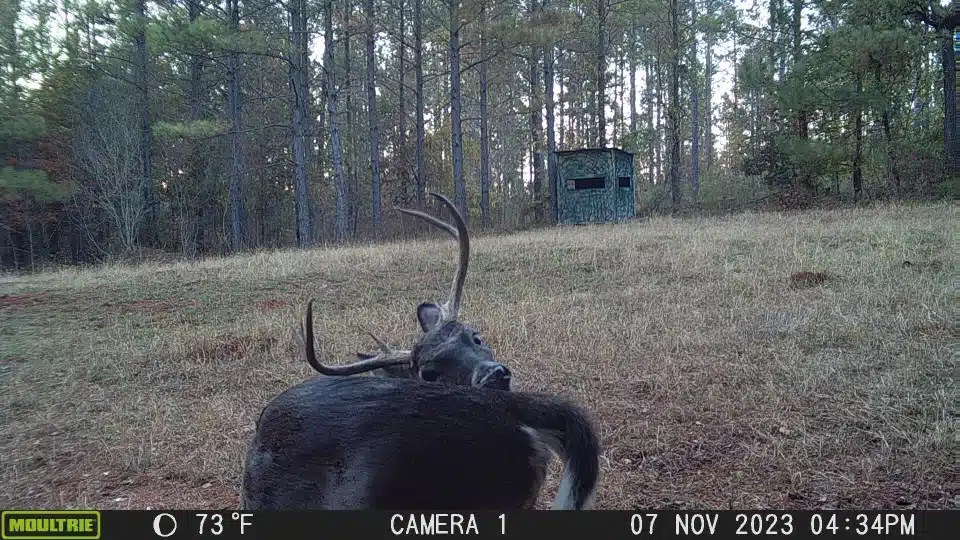 Hatchett Creek Land for Sale Alabama Land Company